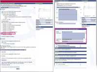 Veröffentlichungsprozess epay21